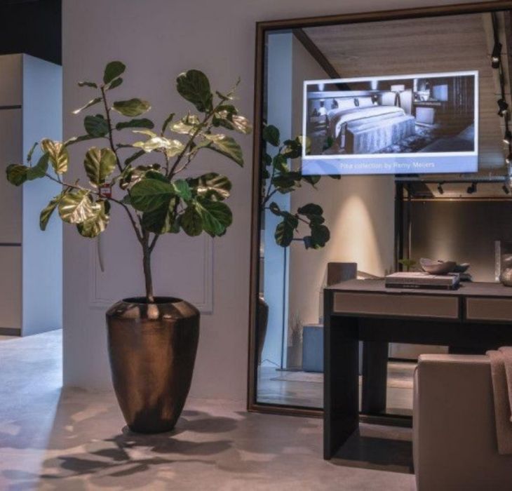 Remy Meijers Mirror TV